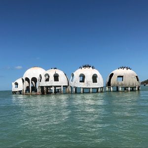 Meet your Posher, Logan